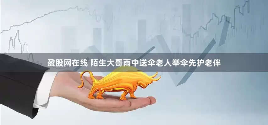 盈股网在线 陌生大哥雨中送伞老人举伞先护老伴