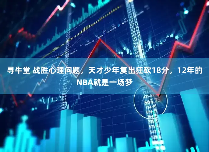 寻牛堂 战胜心理问题，天才少年复出狂砍18分，12年的NBA就是一场梦
